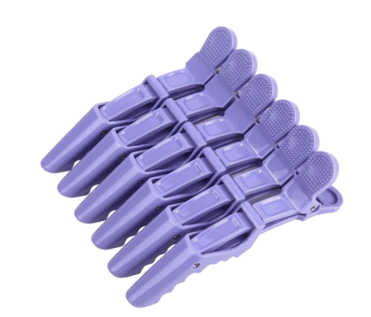 Alligator Hair Clips 6Pcs